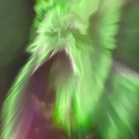 Hb - The Aurora Garden Tromsø