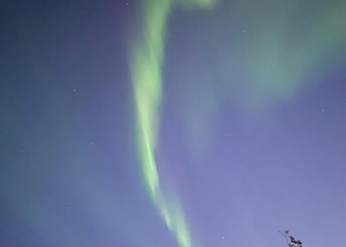 Daire Hb - The Aurora Garden