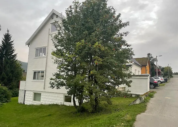 Daire Hb - The Aurora Garden Tromsø