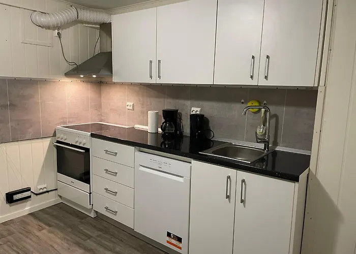 Hb - The Aurora Garden * Tromsø